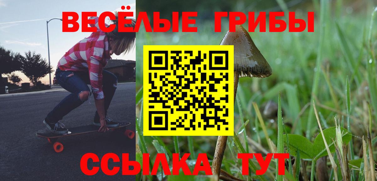 купить закладку  Вход с VPN  Ангарск  Галлюциногенные грибы прущие грибы 